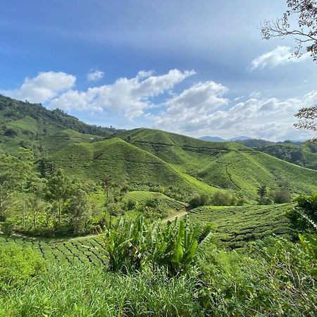 Naufa Muslim'S Homestay At Emerald Avenue ブリンチャン エクステリア 写真